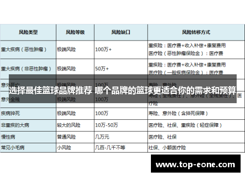 选择最佳篮球品牌推荐 哪个品牌的篮球更适合你的需求和预算