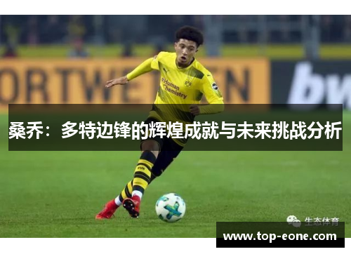 桑乔：多特边锋的辉煌成就与未来挑战分析