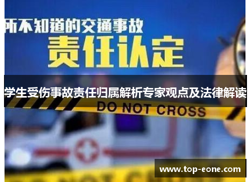 学生受伤事故责任归属解析专家观点及法律解读