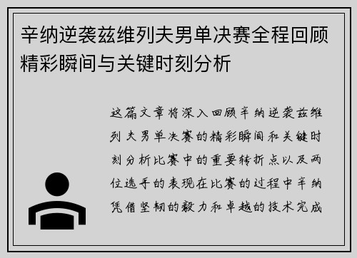 辛纳逆袭兹维列夫男单决赛全程回顾精彩瞬间与关键时刻分析
